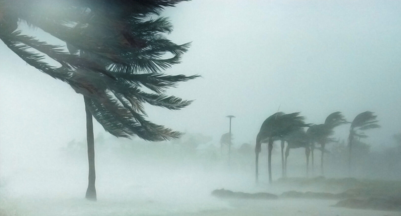 A hurricane blowing through a beach.