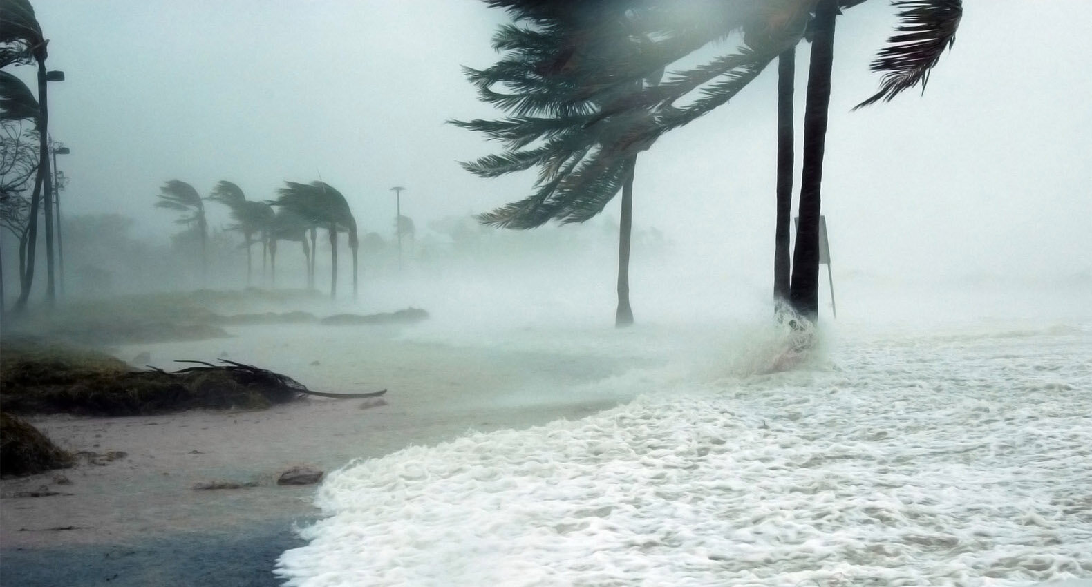 A hurricane blowing through a beach.