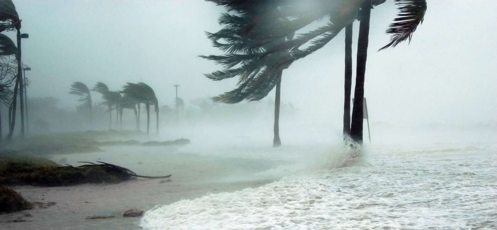A hurricane blowing through a beach.