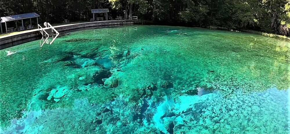 Blue Springs swimming area in Bronson Florida.